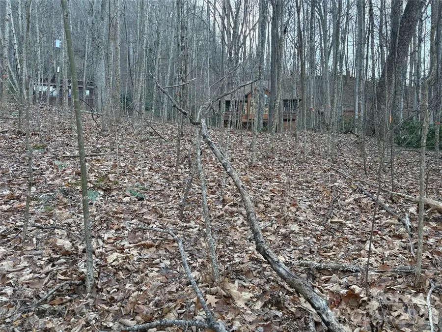 TBD Thrush Drive #20, Maggie Valley, NC 28751 - Image #3