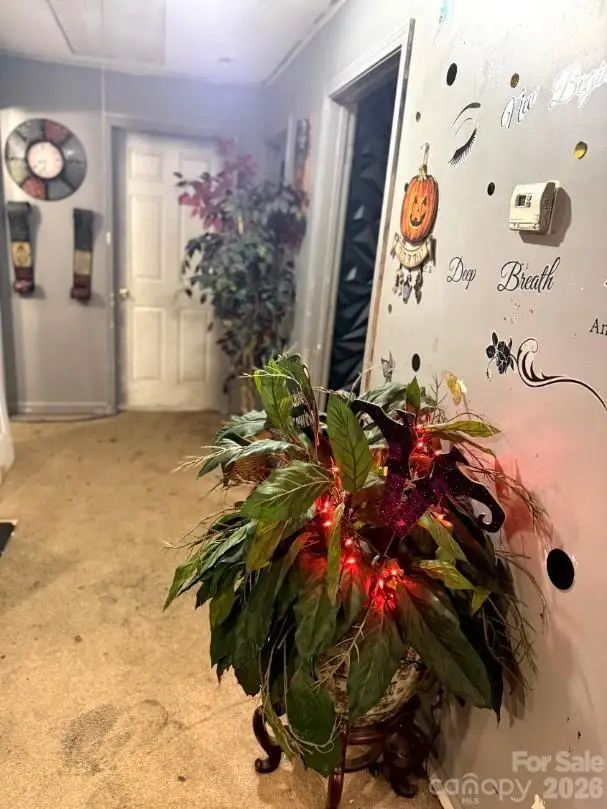 8 Hemlock Drive, Asheville, NC 28806 - #3