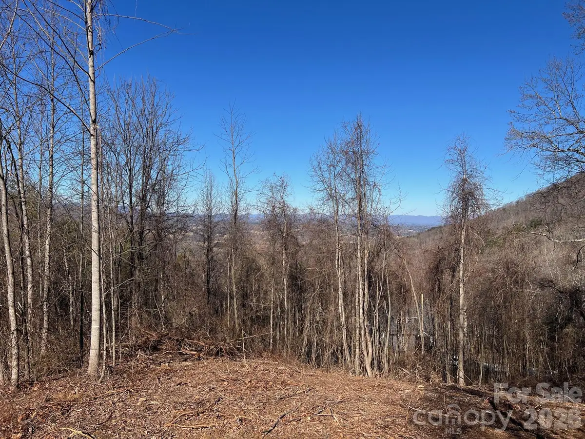 99999 Farm Cove Lane #10, Leicester, NC 28748 - Image #1