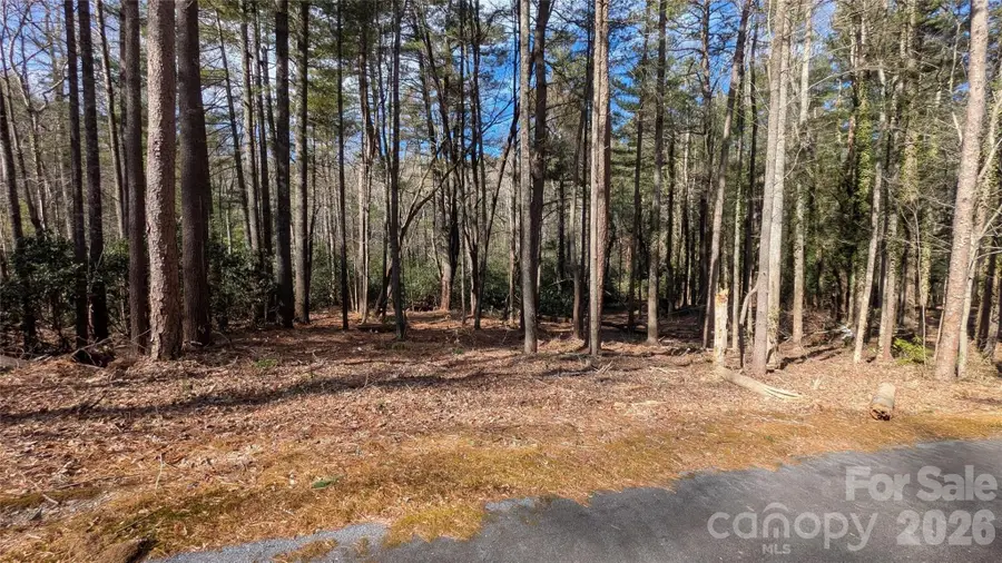999 Roberts Lane N #7, Flat Rock, NC 28731 - Image #3