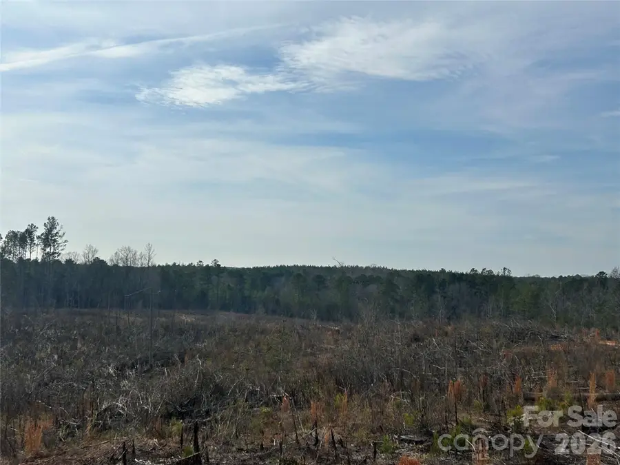 1111 Countryside Drive, Blackstock, SC 29014 - Image #3