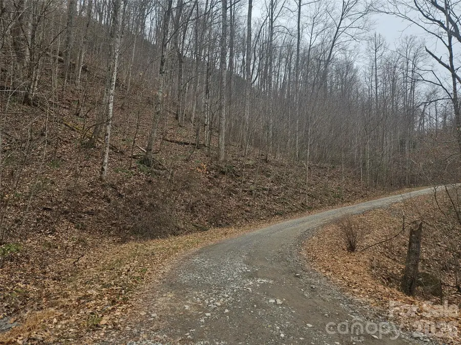 000 Icicle Ridge, Sylva, NC 28779 - Image #2