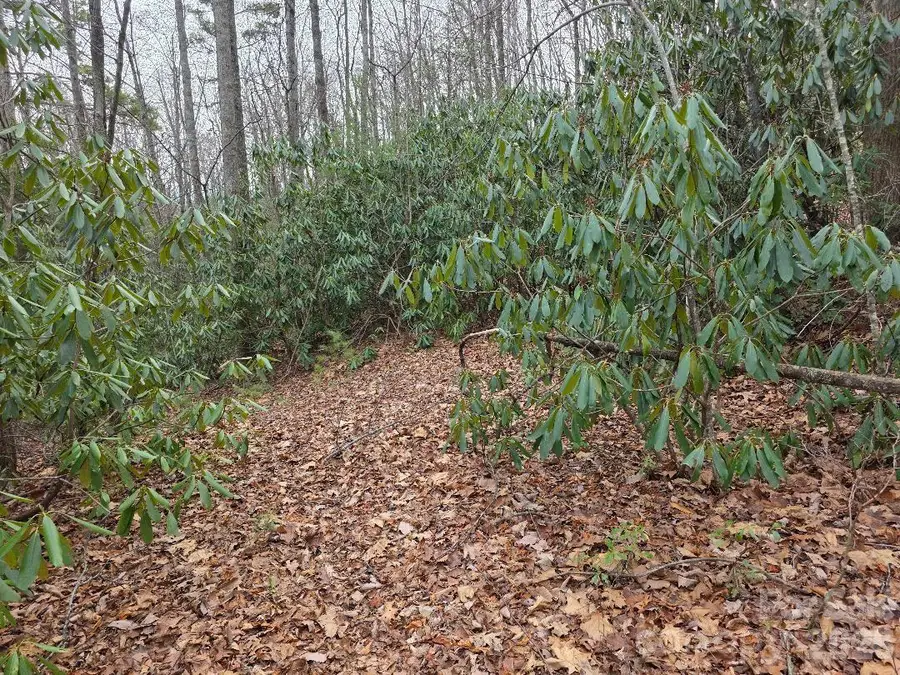 00 Barking Dog Lane, Burnsville, NC 28714 - #2