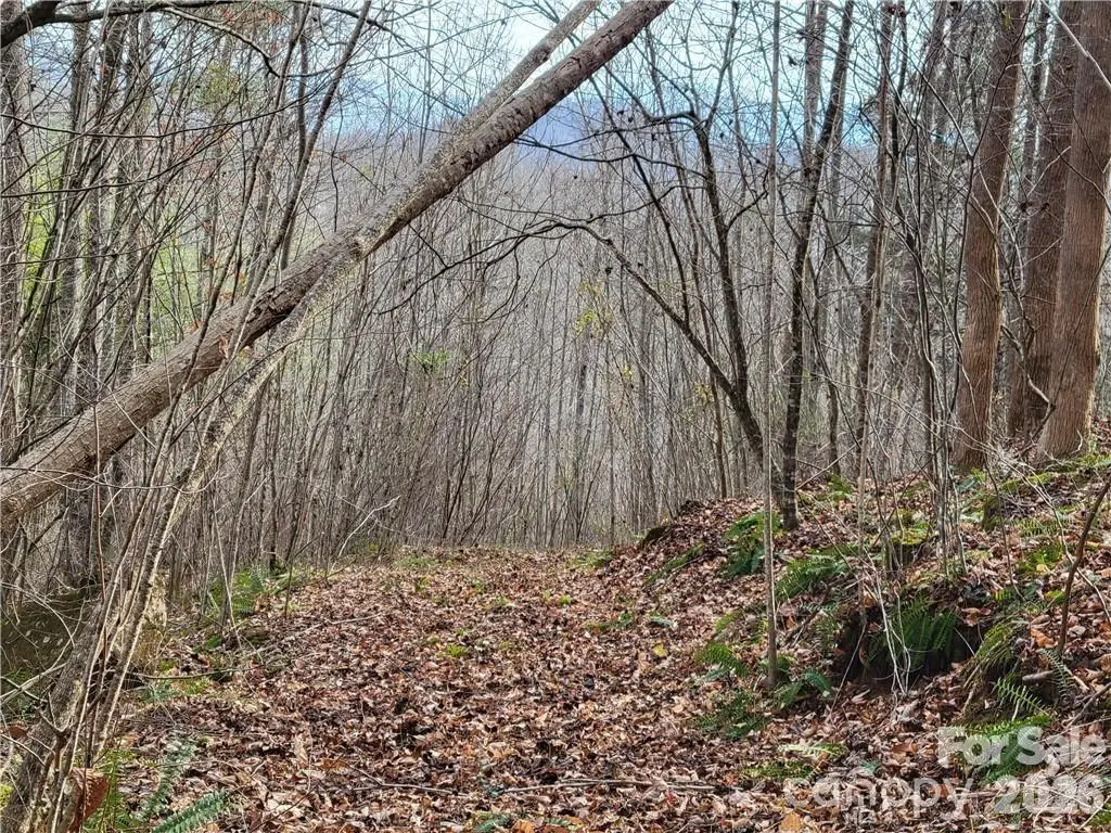 00 Sweet Creek Road, Bakersville, NC 28705 - Image #1