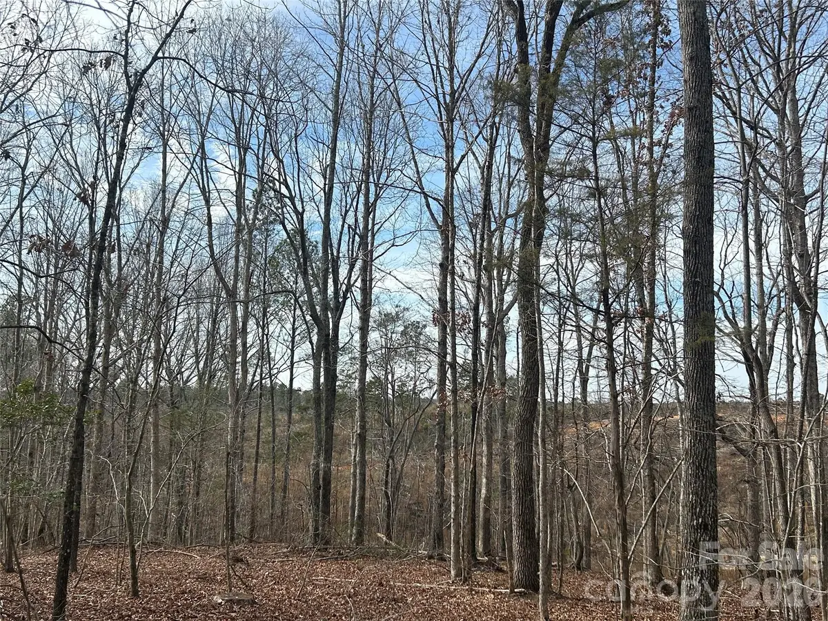 33 Ac Lot A Countryside Drive, Blackstock, SC 29014 - Image #1