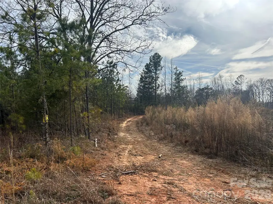 33 Ac Lot A Countryside Drive, Blackstock, SC 29014 - Image #3