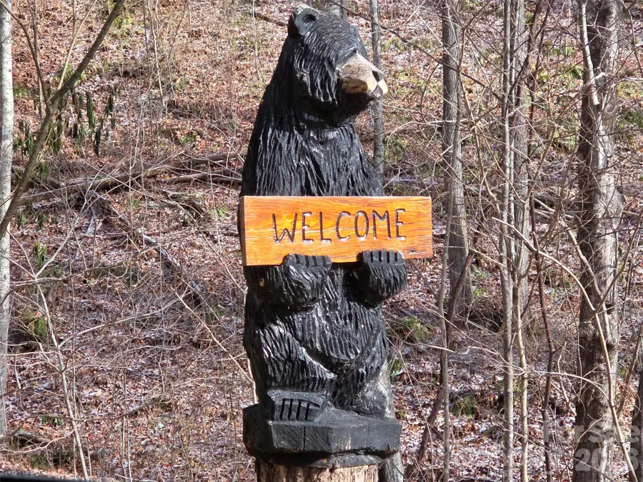 455 Mountain Watch Drive #16, Waynesville, NC 28785 - Image #3