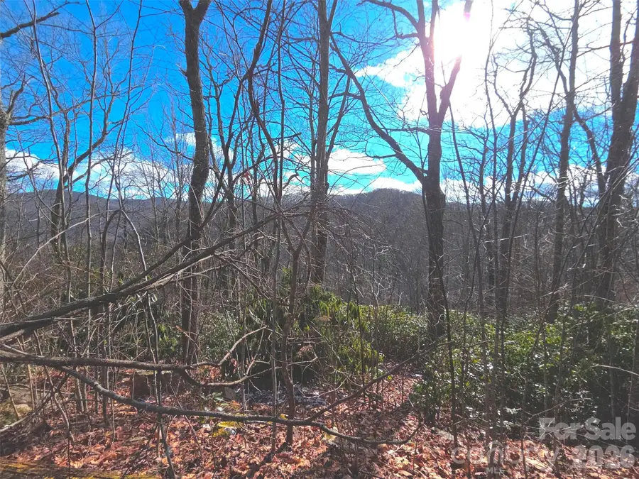 550 Sky Drive #12A, Maggie Valley, NC 28751 - Image #3