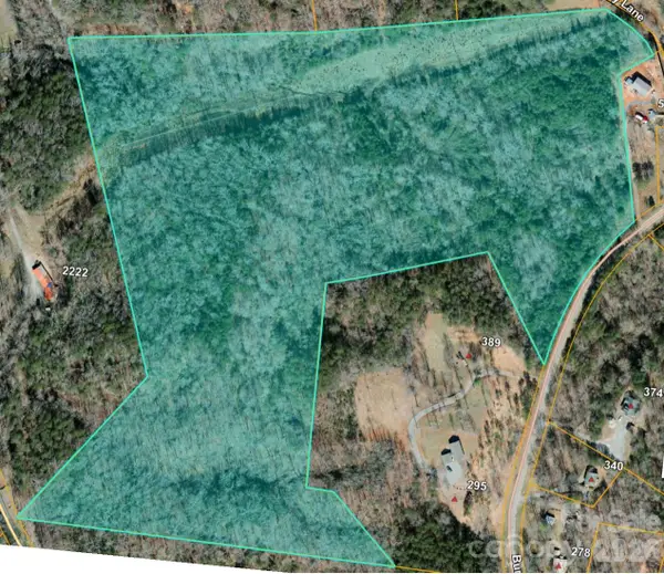 0 Burt Blackwell Road, Mill Spring, NC 28756