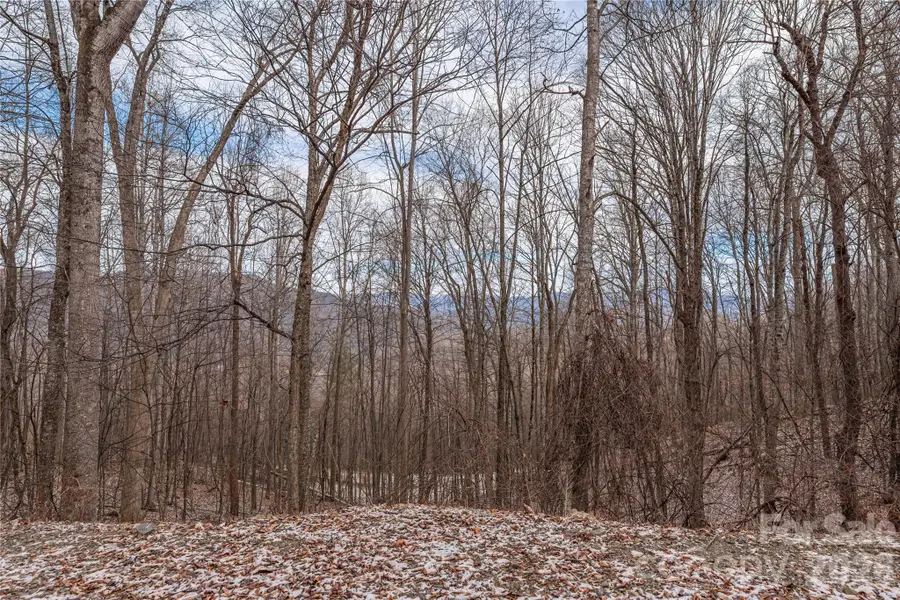 00 Curry Comb Trail #516, Waynesville, NC 28785 - Image #3