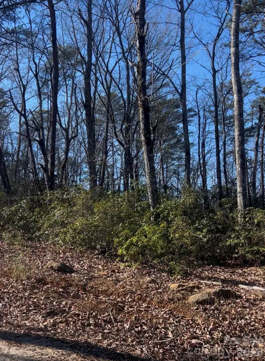 0 Ridgecrest Drive, Lake Lure, NC 28746 - Image #3