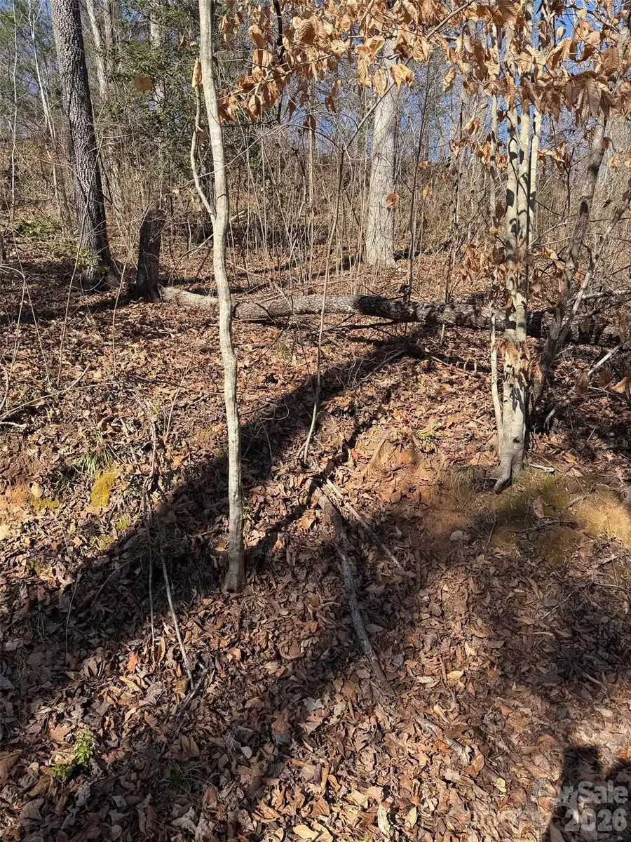 000 E Rambling Creek Road #11, Tryon, NC 28782 - Image #3