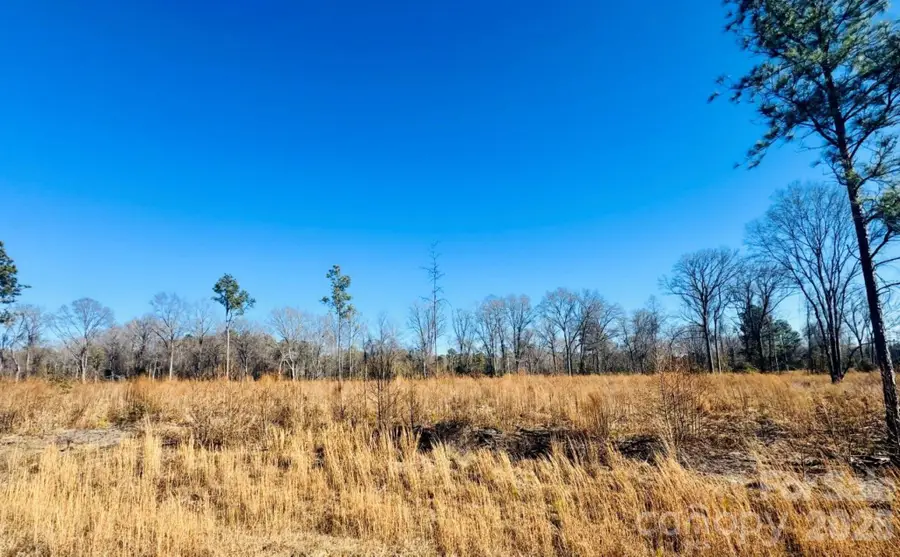 0000 Woodbine Road, Cheraw, SC 29520 - Image #3