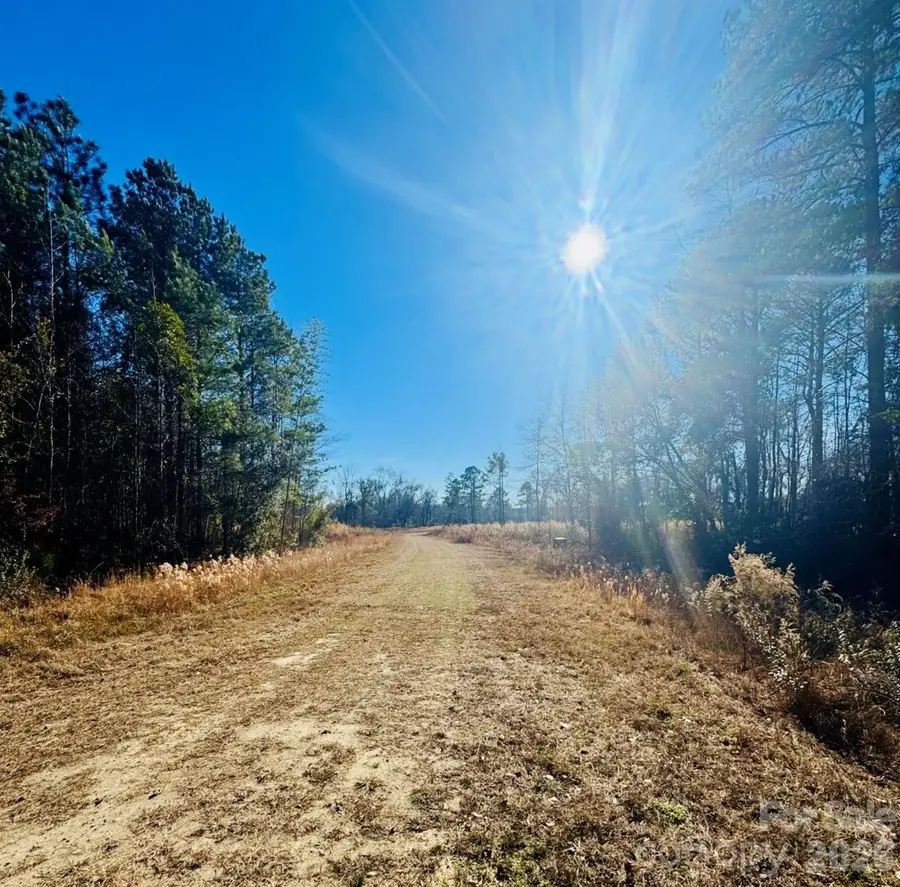 0000 Thistledown Road, Cheraw, SC 29520 - Image #2