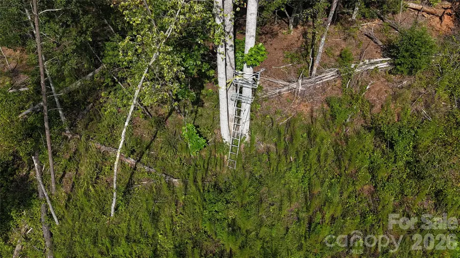 134 W Mcbrayer Lane, Mooresboro, NC 28114 - Image #3