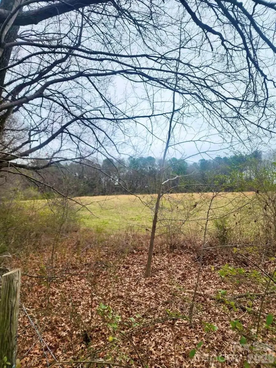 0 Spies Road, Star, NC 27356 - Image #3