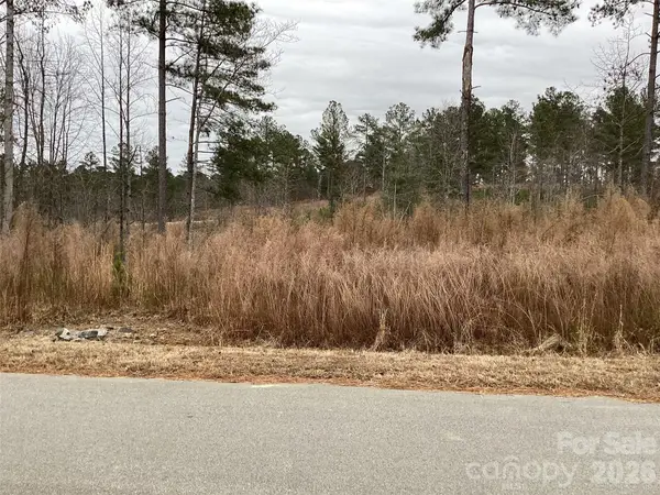 2146 Pikes Peak Ridge #154, Connelly Springs, NC 28612