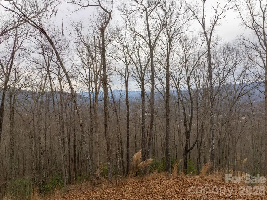 999 Breedlove Road #2, Bryson City, NC 28713 - Image #2