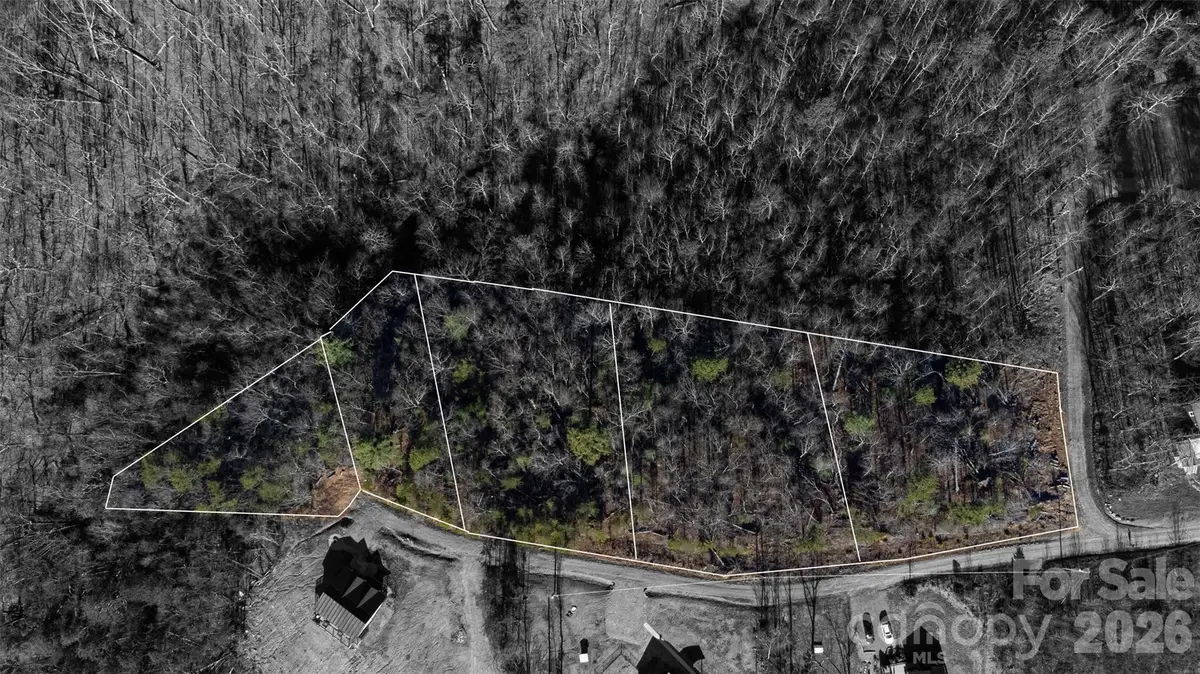 7046 Birch Lane, Morganton, NC 28655 - #1