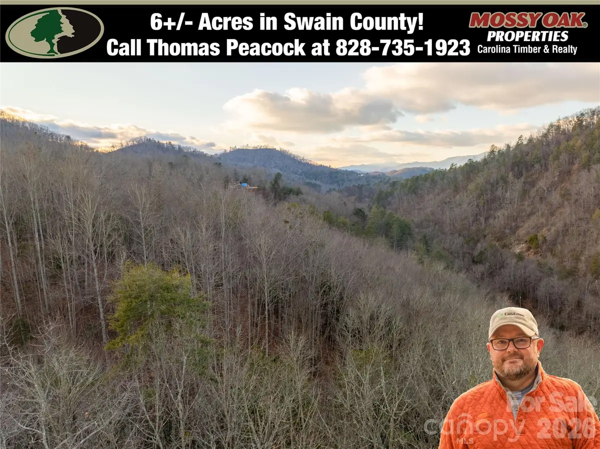 9180 Lower Alarka Road, Bryson City, NC 28713 - Image #1