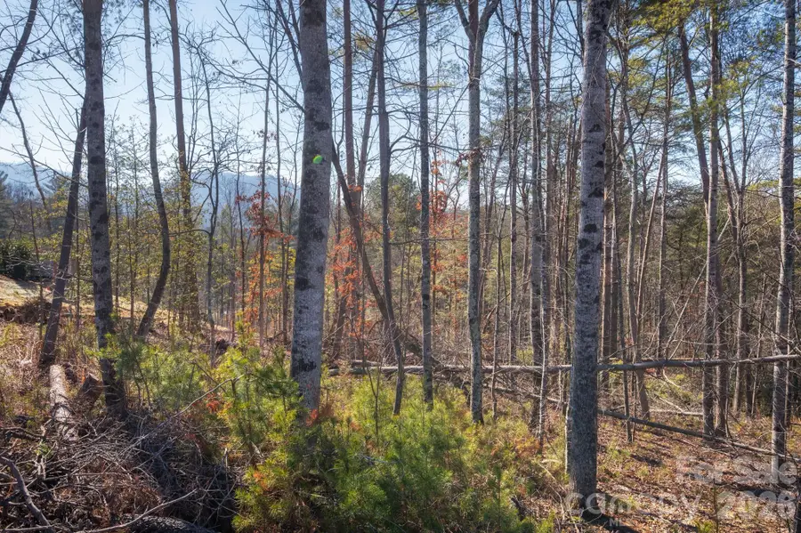 161 Riverbend Forest Drive #9, Asheville, NC 28805 - #3