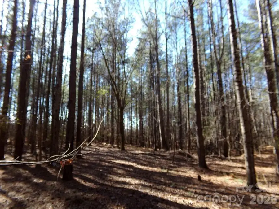 41 Ac Hwy 55 Highway, Clover, SC 29710 - Image #2