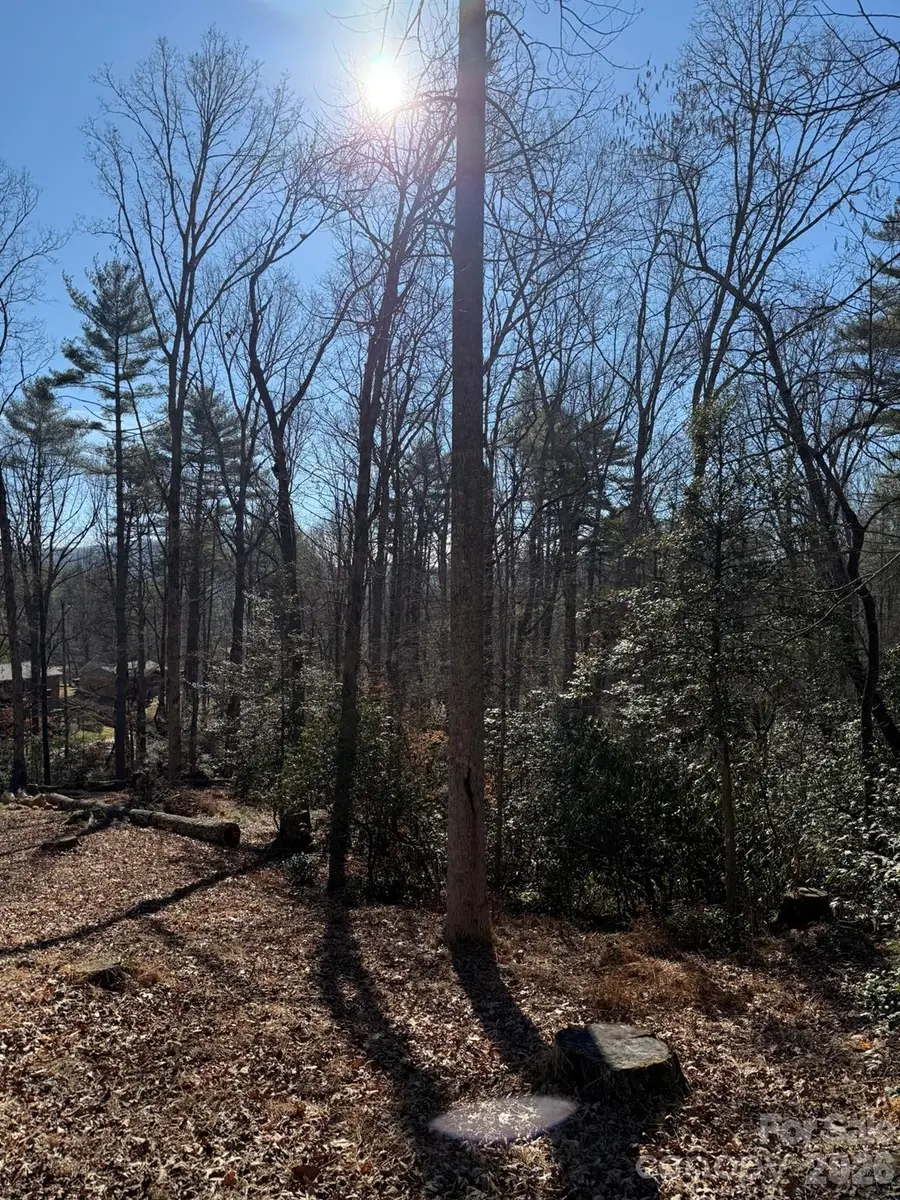 9999 Rockbrook Overlook, Brevard, NC 28712 - Image #2