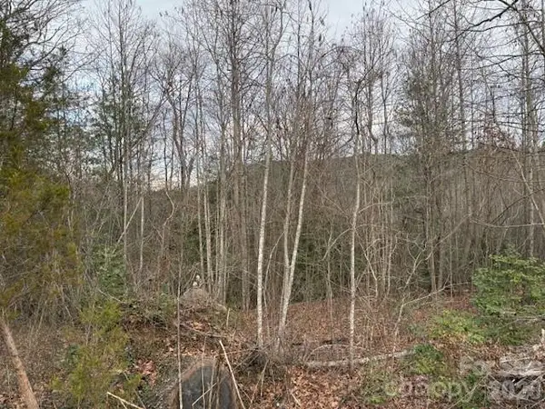 0 S Old Nc 18 Highway S, Connelly Springs, NC 28612