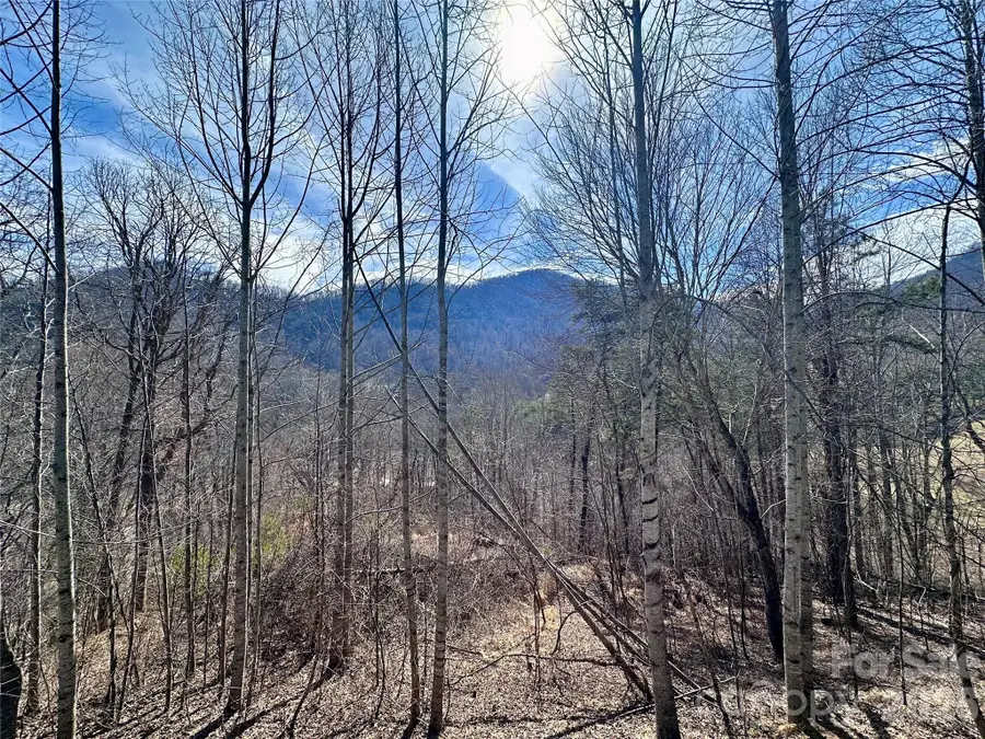 40 Shook Cove Road, Leicester, NC 28748 - #2