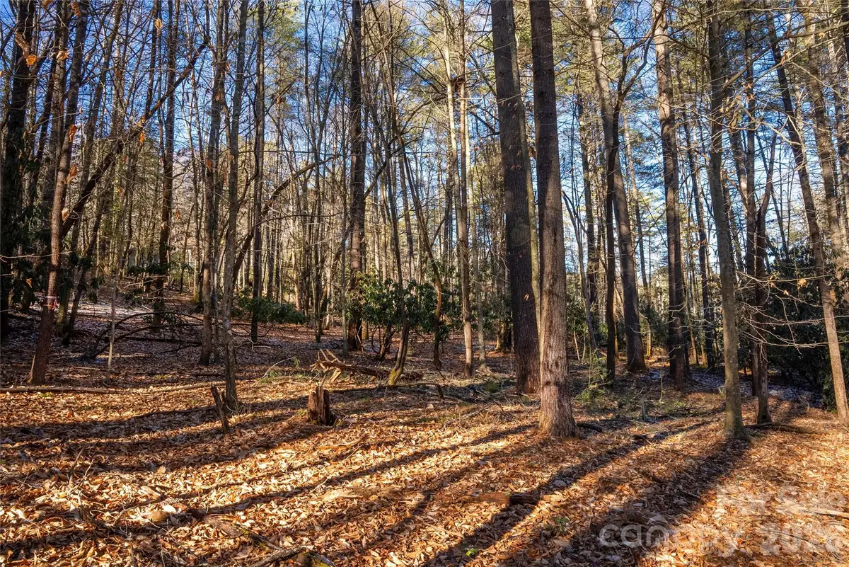 L11 Deerlake Road #11, Brevard, NC 28712 - #1