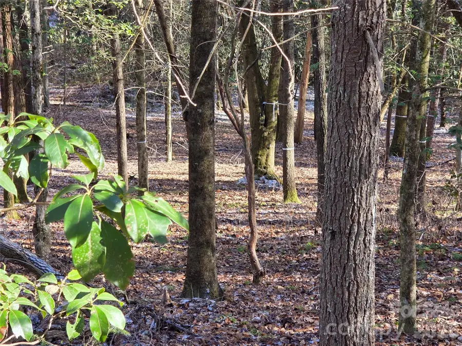 L11 Deerlake Road #11, Brevard, NC 28712 - #3