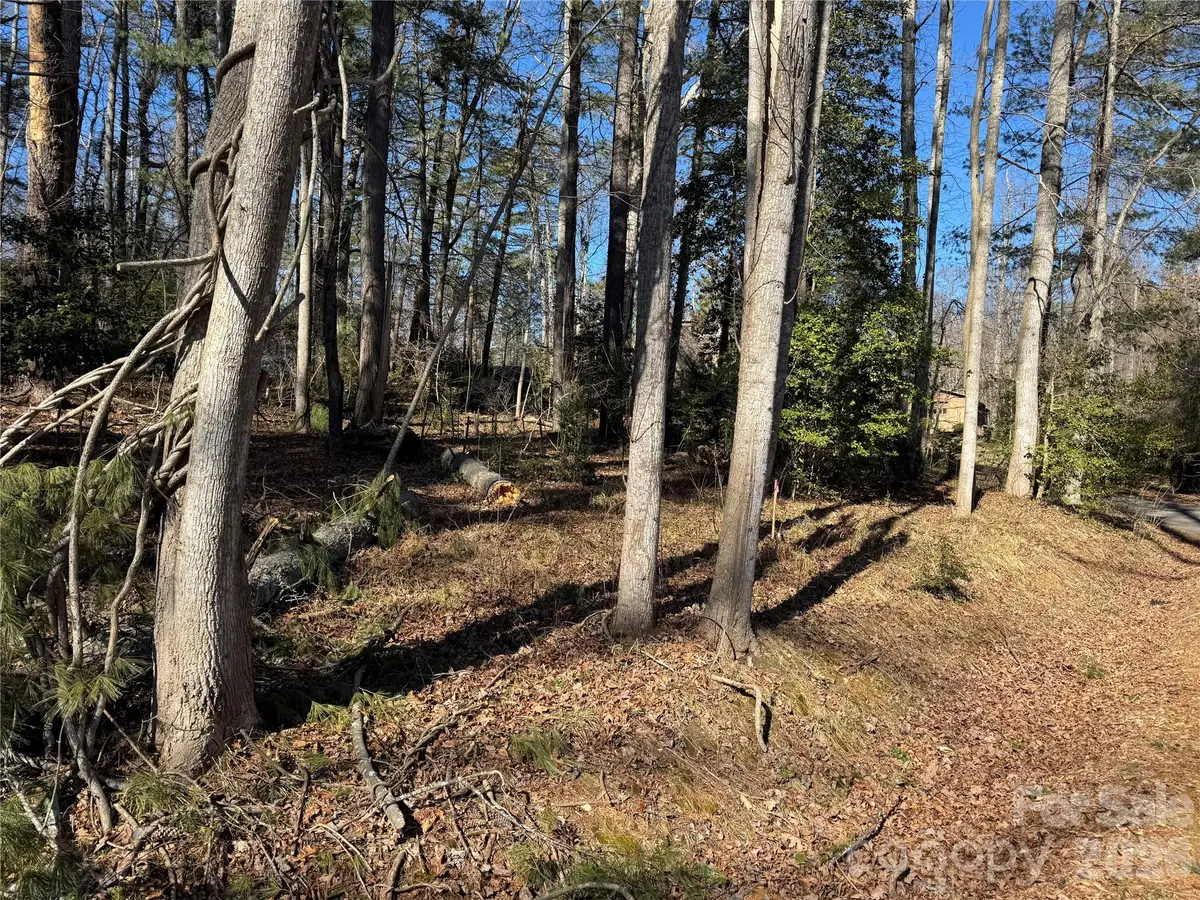 133 Springside Road, Asheville, NC 28803 - Image #1