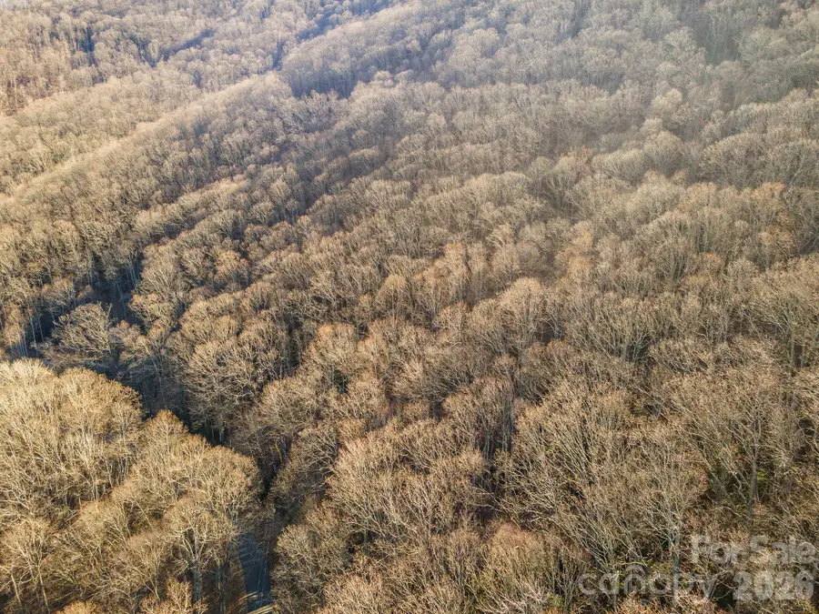 00 Wildflower Cove Road #18, Swannanoa, NC 28778 - Image #2