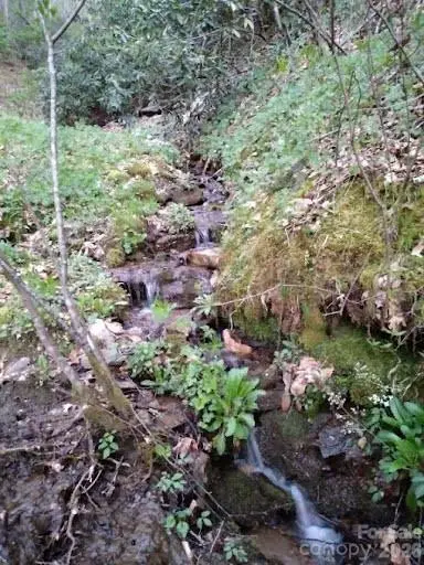 617 Barkers Creek Road, Whittier, NC 28789 - Image #1