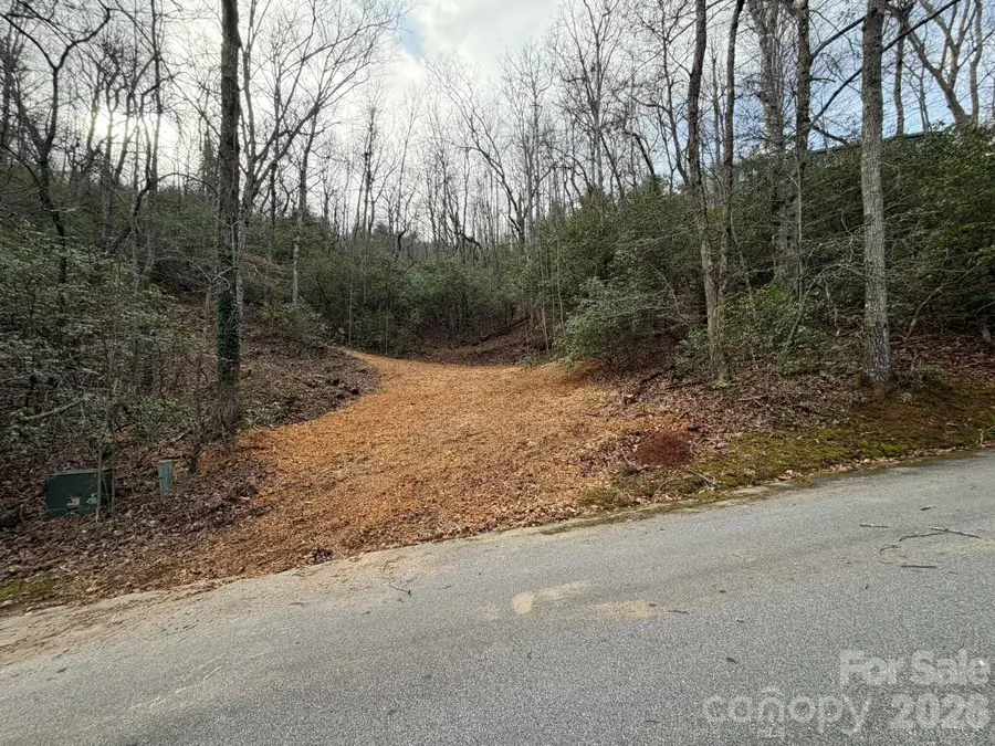 70 Knobby Lane, Franklin, NC 28734 - Image #2