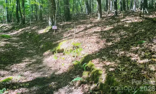 919 Panther Top Road, Murphy, NC 28906