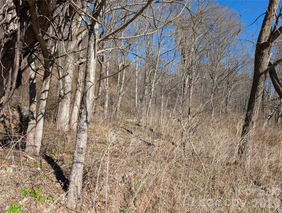 00 Great Smoky Mountain Expy Highway, Waynesville, NC 28786 - Image #2