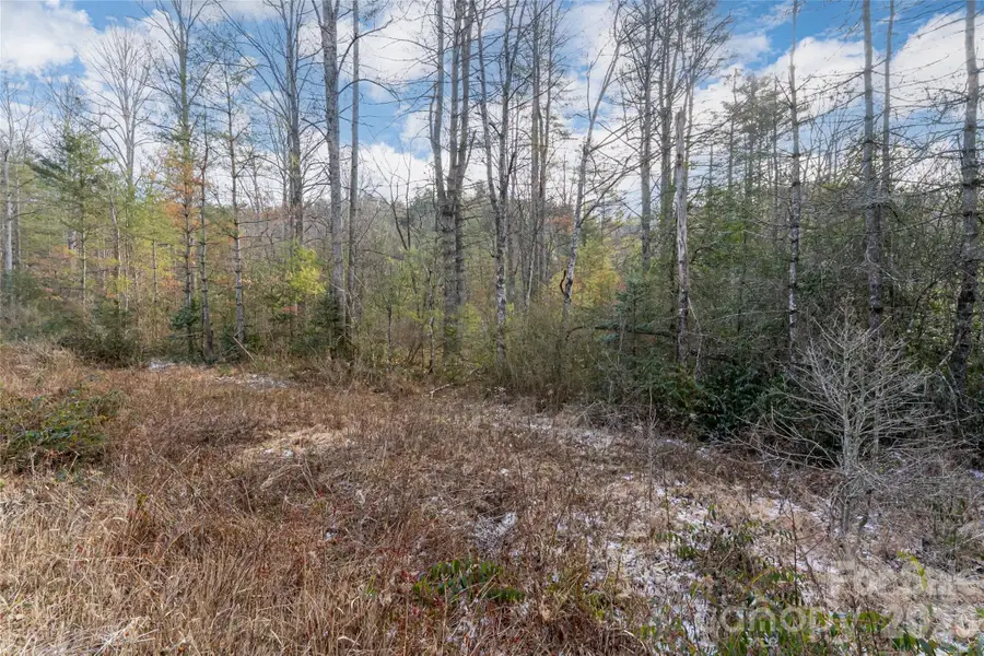 99999 Old Nc 280 Highway, Pisgah Forest, NC 28768 - #3