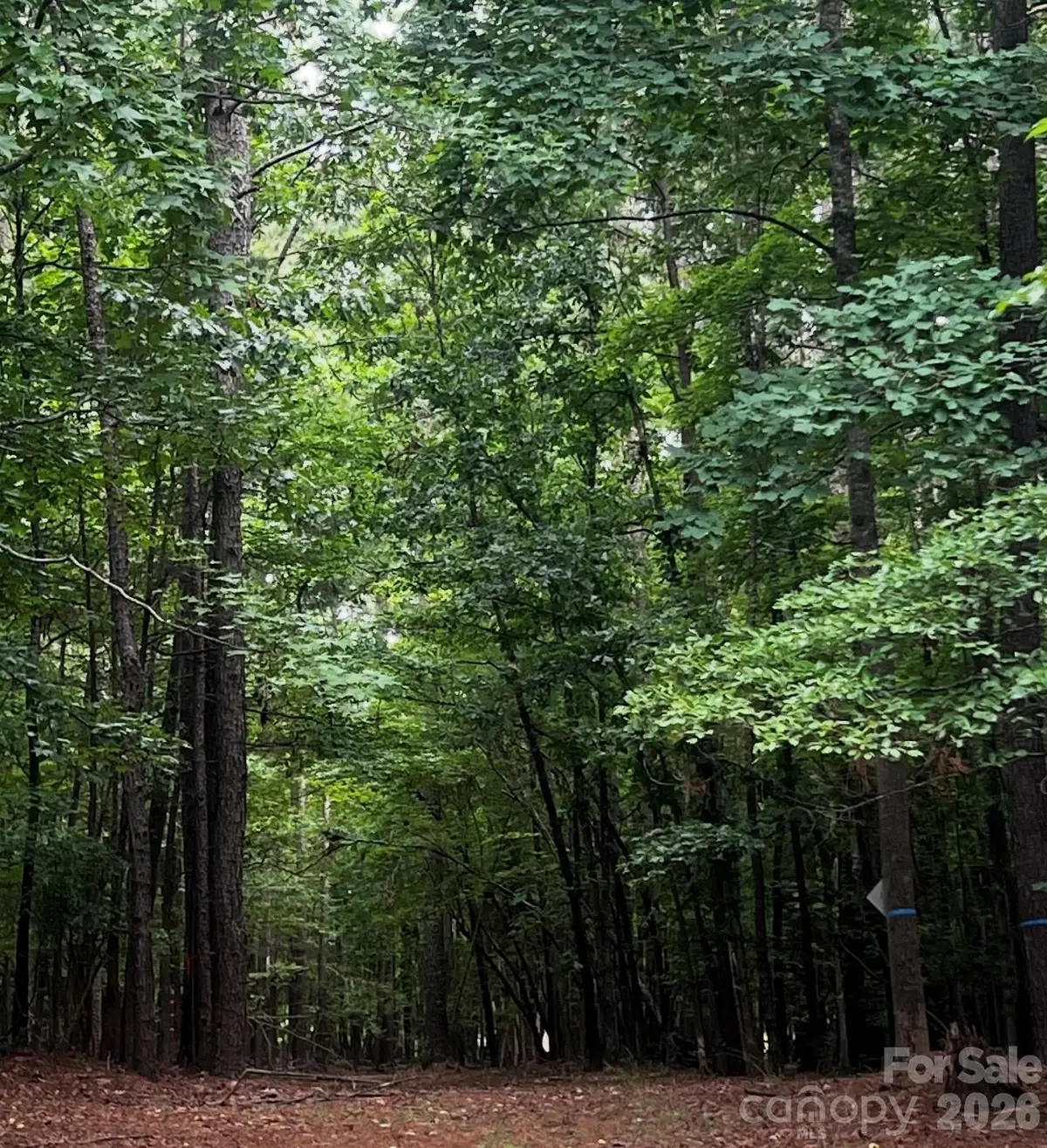 2209 Green View Drive #18, Waxhaw, NC 28173 - #1