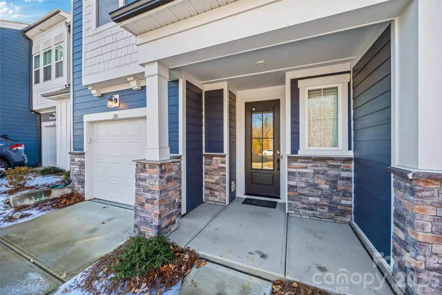 285 Brooks Springs Drive, Fort Mill, SC 29708 - Image #3