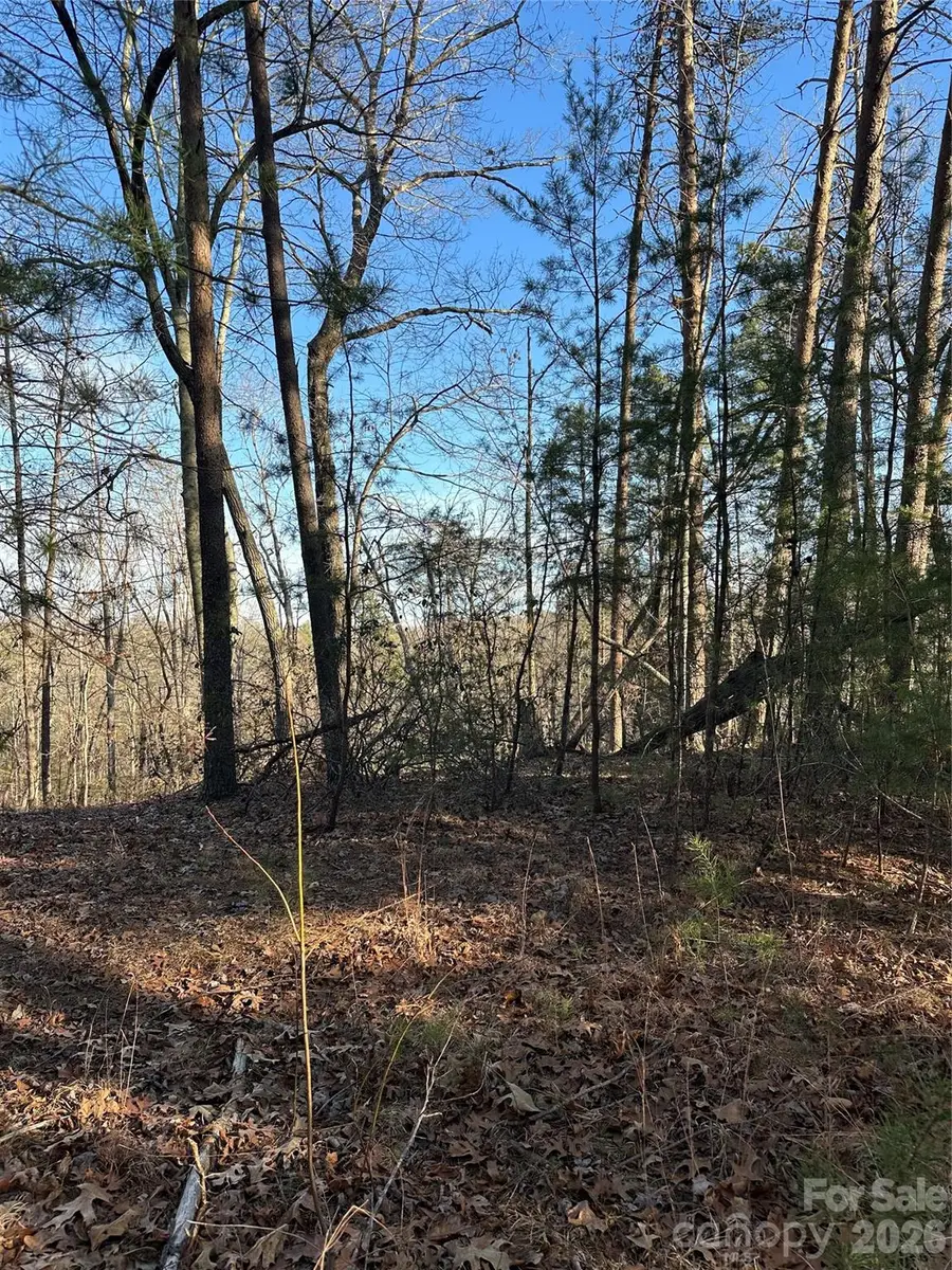 00 Hawkins Lane #8, Mill Spring, NC 28756 - #3