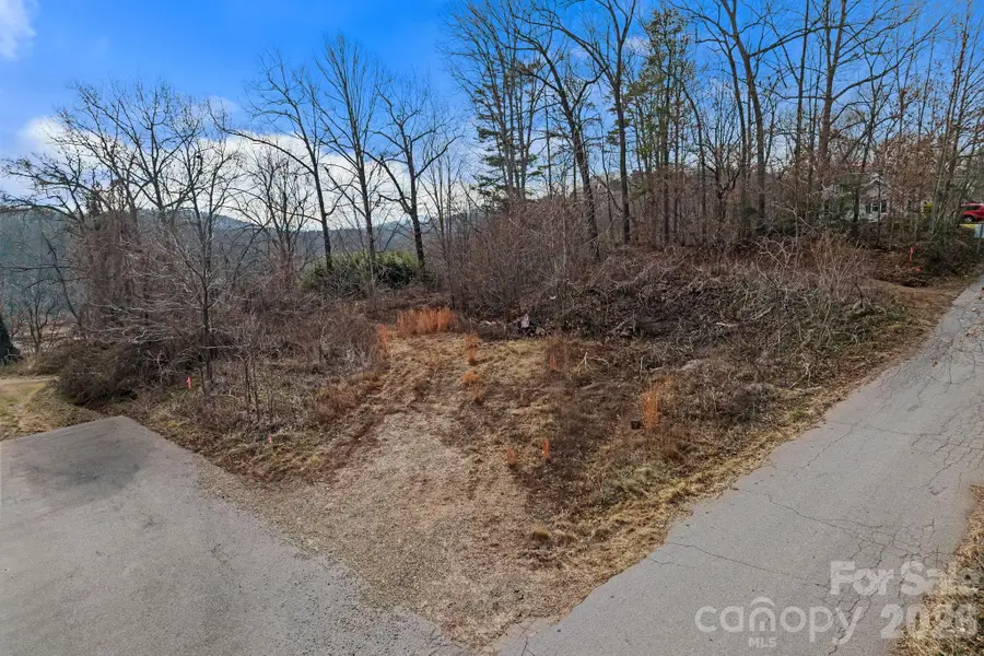 99999 Crestfield Avenue, Asheville, NC 28804 - #3