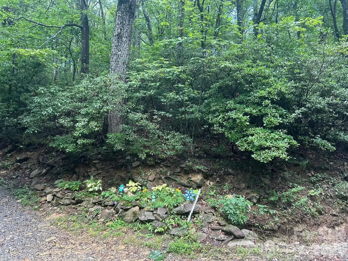 0 Pine Ridge Road #21, Hendersonville, NC 28792 - #1