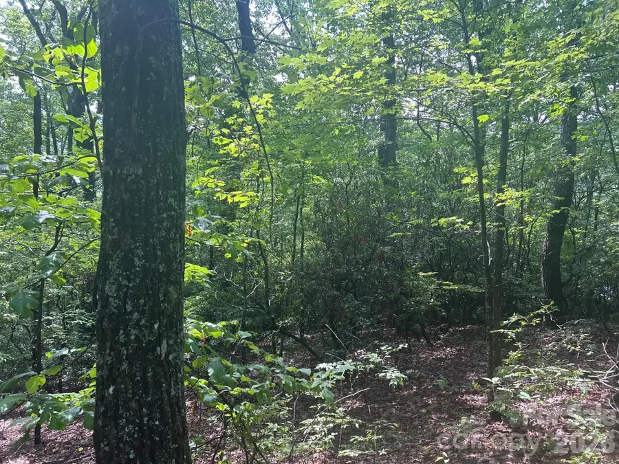 0 Pine Ridge Road #21, Hendersonville, NC 28792 - #3