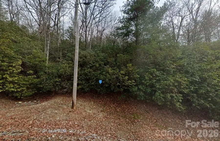 155 Laurel Mountain Estates Road, Franklin, NC 28734 - #2