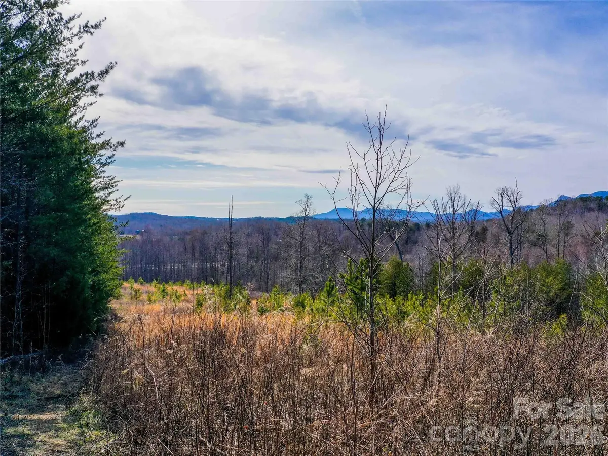 00 Pea Ridge Road, Mill Spring, NC 28756 - #1