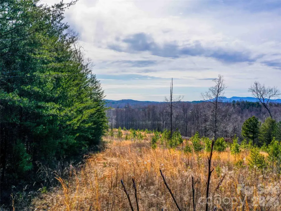 00 Pea Ridge Road, Mill Spring, NC 28756 - #2