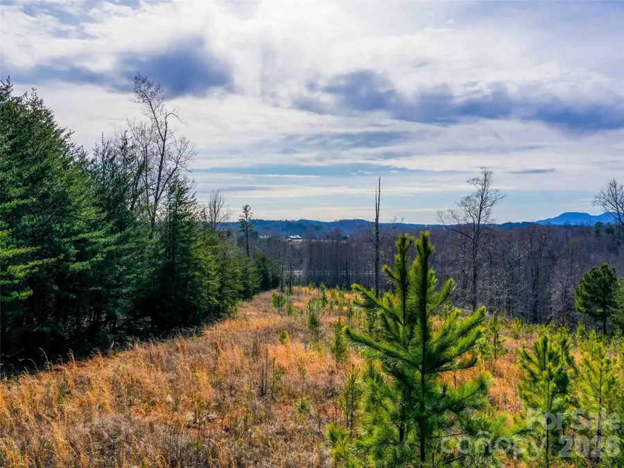 00 Pea Ridge Road, Mill Spring, NC 28756 - #3