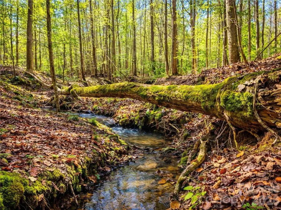 196 Sunset Ridge #LOT 122, Rockingham, NC 28379 - Image #3