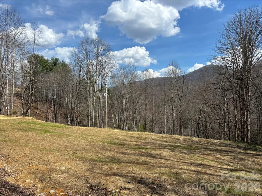 (South Lot) Meadow Fork Road, Hot Springs, NC 28743 - #3